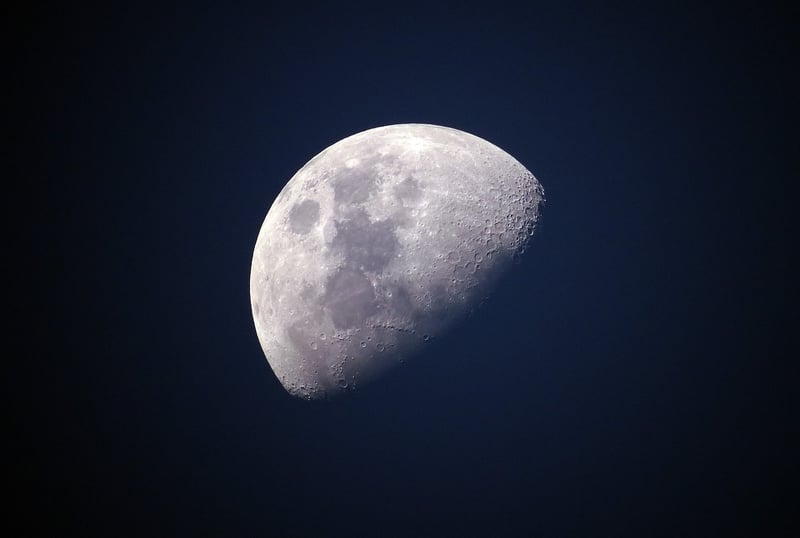 Lunar Menu Delights