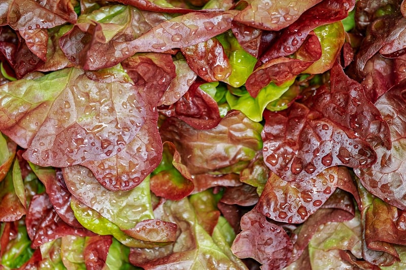 Stardust Salad